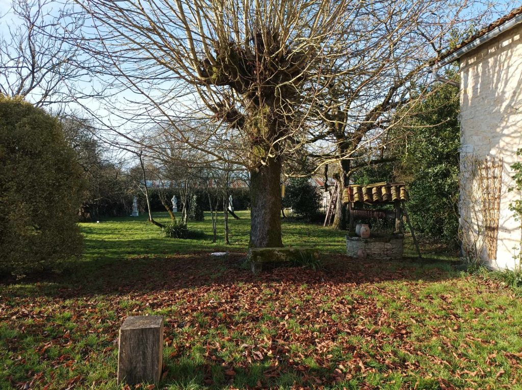 Le jardin de la maison de Morgan d'Aubigny pour l'escape night du trésor de Limort